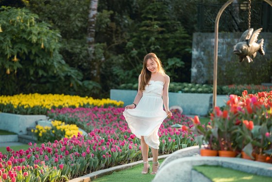 Đọc vị các điểm đến miền Trung được “truy lùng” nhiều nhất Tết này ảnh 6