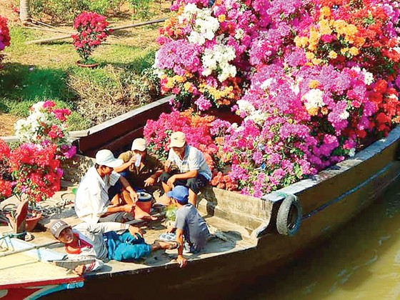 Vào mùa hoa kiểng tết ảnh 7