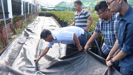 Người dân Bến Tre đối phó hạn mặn bằng túi trữ nước ảnh 1