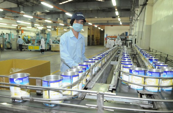 Doanh nghiệp Việt 'ra biển lớn' ảnh 1