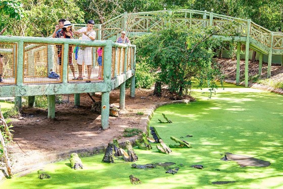Chào mừng mùa giáng sinh ấm áp tại Minera Hot Springs Bình Châu ảnh 6