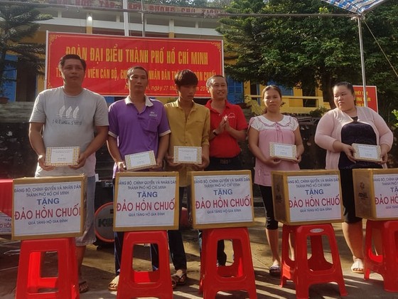 Đoàn đại biểu TPHCM tặng hệ thống lọc nước cho cán bộ, chiến sĩ đảo Hòn Chuối ảnh 1