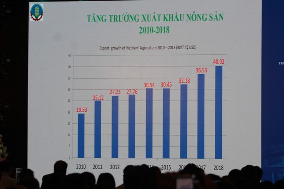 Phó Thủ tướng Vương Đình Huệ: Tạo điều kiện phát triển logistics ảnh 3