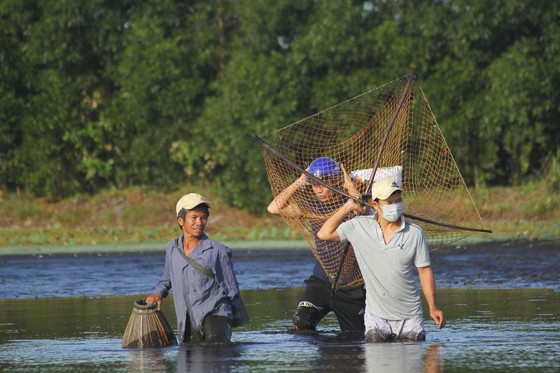 Hàng trăm người reo hò, lội bùn bắt cá cầu may ảnh 2