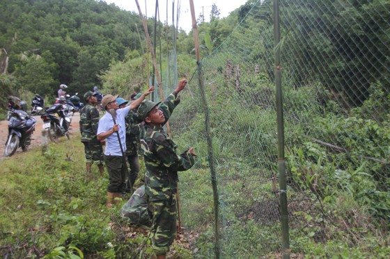 Căng lưới vây núi ngăn đàn voọc tấn công người ảnh 7