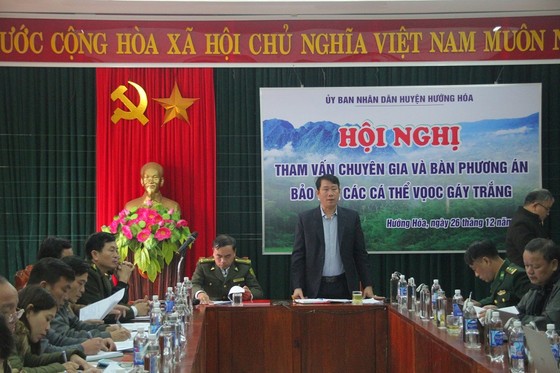 Voọc gáy trắng tấn công người ở Quảng Trị: Di chuyển đàn voọc về khu vực mới ảnh 1