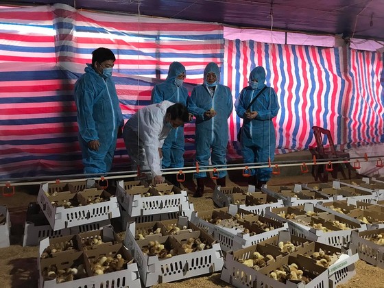Bộ NN-PTNT thăm hỏi, tặng quà các gia đình khó khăn trên địa bàn tỉnh Quảng Trị ảnh 1