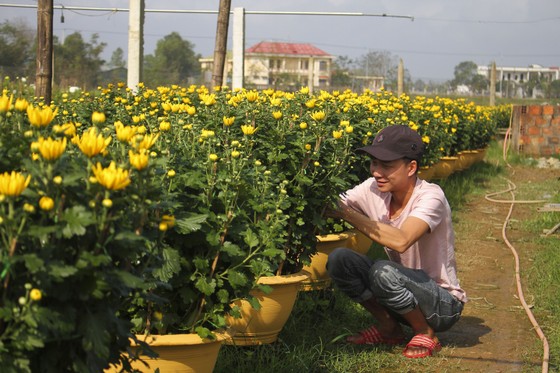 Làng hoa An Lạc hối hả vào vụ tết ảnh 3