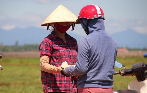 Trồng dưa hấu trên đất lúa mùa khô hạn cho thu nhập cao ảnh 7
