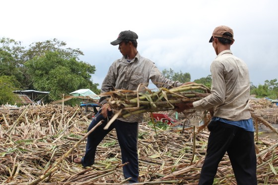 Đường giảm giá, tồn kho tăng thêm ảnh 1