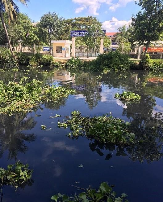Hậu Giang: Khẩn trương điều tra, xác minh dòng nước đen bất thường ảnh 1