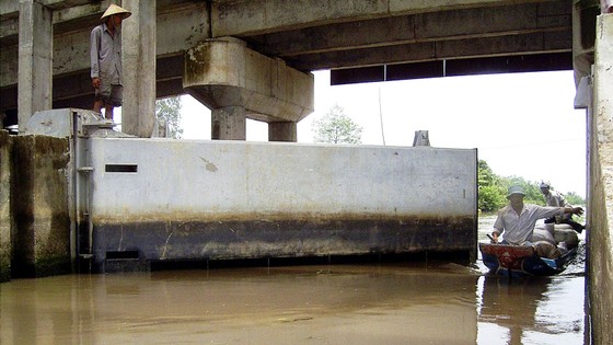 ĐBSCL - Nước mặn xâm nhập sâu vào đúng dịp Tết nguyên đán ảnh 2