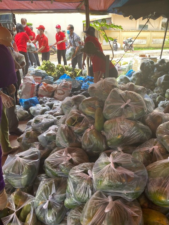 Hơn 9.000 tấn nông sản ở Hậu Giang đến kỳ thu hoạch không có thương lái thu mua ảnh 1