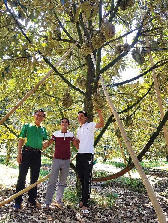 Phân bón Phú Mỹ - thương hiệu hàng đầu của ngành và nhóm 40 thương hiệu giá trị nhất Việt Nam ảnh 1
