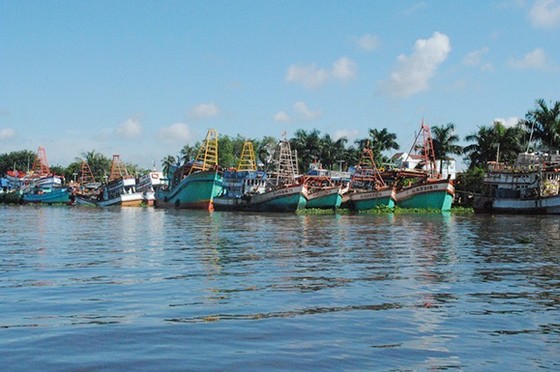 Hàng loạt tàu cá Kiên Giang nằm bờ ảnh 1