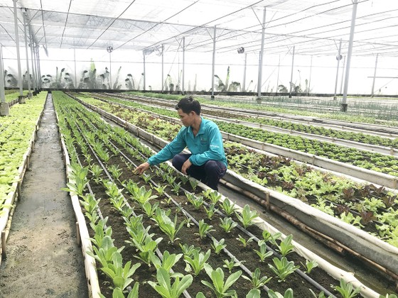 Phát triển nông nghiệp gắn với đô thị ảnh 1
