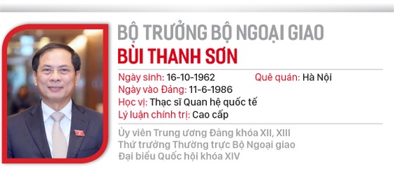 Hai Phó Thủ tướng và 12 Bộ trưởng vừa được Quốc hội phê chuẩn ảnh 14
