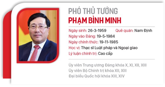 Hai Phó Thủ tướng và 12 Bộ trưởng vừa được Quốc hội phê chuẩn ảnh 7