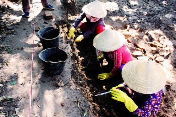 Hội thảo quốc tế gốm cổ Bình Định: Đánh giá lại giá trị gốm cổ Bình Định - Vương quốc Vijaya ảnh 5