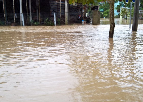 Bình Định - Phú Yên: Mưa lũ tiếp tục hoành hành, nhiều địa phương chìm trong “biển lũ“ ảnh 6
