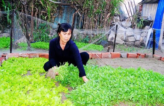 Tết sớm ở đảo biển Nhơn Châu ảnh 2