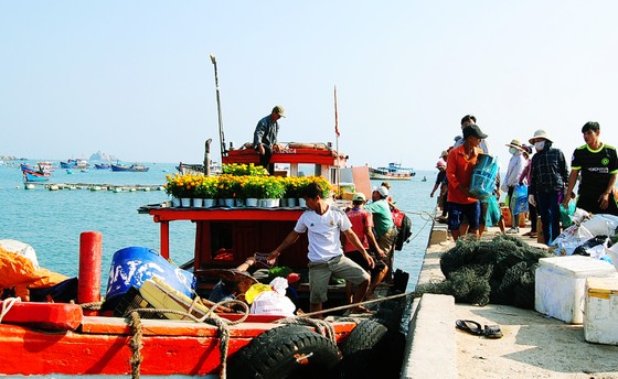 Tết sớm ở đảo biển Nhơn Châu ảnh 1