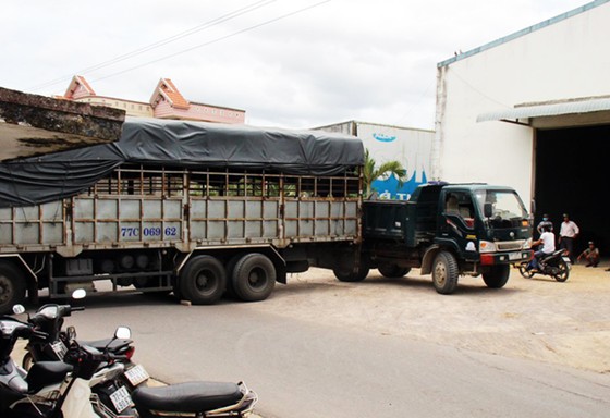 Xe tải mất lái tông thẳng vào nhà, 3 người thoát nạn trong gang tấc ảnh 2