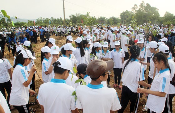 Trồng mới 2 triệu cây xanh phát động Tháng Thanh niên 2019 ảnh 3