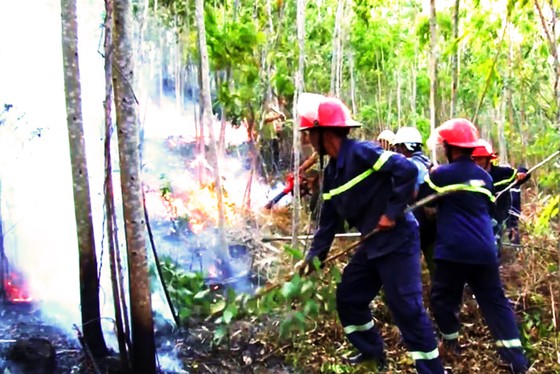 Hơn 2 ngày chiến đấu cật lực với lửa lớn ở núi Kỳ Lễ ảnh 3