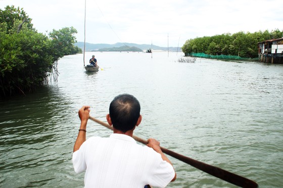 Thu hồi quyết định cho thuê đất, giao đất của Công ty CP Thị Nại Eco Bay ảnh 3