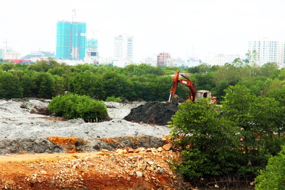 Thu hồi quyết định cho thuê đất, giao đất của Công ty CP Thị Nại Eco Bay ảnh 1