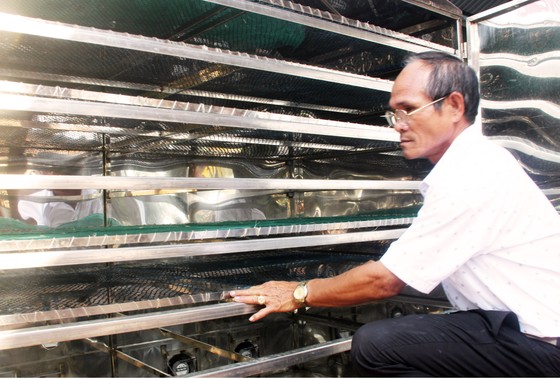 Sấy mực bằng năng lượng mặt trời tạo ra sản phẩm an toàn ảnh 5