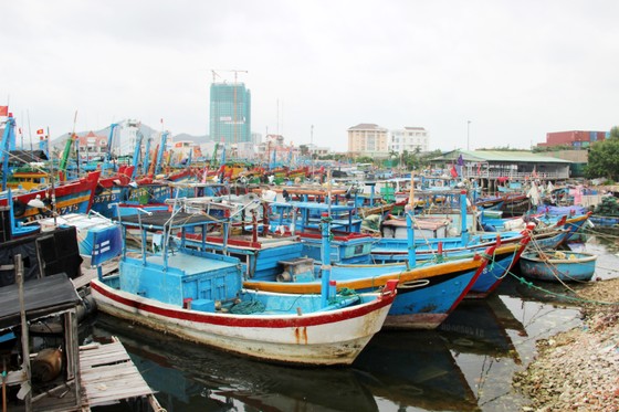 Cấp tập chuẩn bị ứng phó bão số 10 ảnh 6