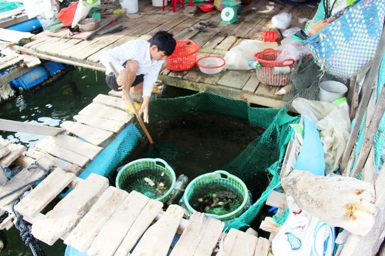 Cấp tập chuẩn bị ứng phó bão số 10 ảnh 4