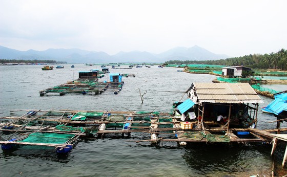 Dự báo bão số 10 suy yếu, các địa phương vẫn lên kế hoạch ứng phó ảnh 2