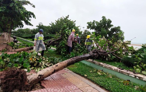 Những thiệt hại ban đầu của cơn bão số 12 ảnh 3