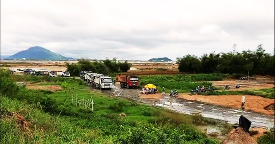 Phú Yên chỉ đạo kiểm tra, xử lý thông tin phản ánh của Báo SGGP ảnh 1