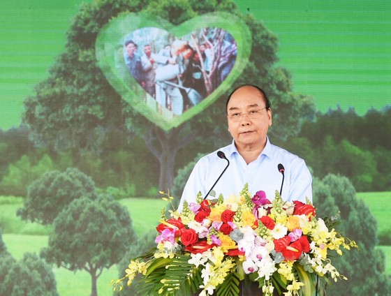 Thủ tướng muốn Phú Yên đi đầu đề án trồng mới 1 tỷ cây xanh ảnh 1