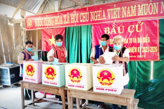 Những lá phiếu sớm sau dốc Cổng Trời ảnh 6