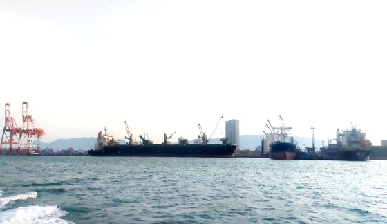 Phát hiện 7 thuyền viên từ Indonesia vào cảng Quy Nhơn nghi mắc Covid-19 ảnh 1