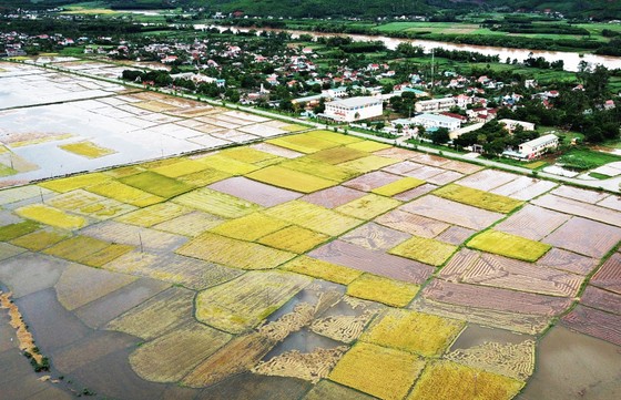 Bão suy yếu, người dân Quảng Ngãi đối diện với ngập lụt ảnh 1