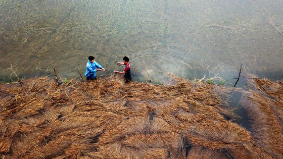 Bão suy yếu, người dân Quảng Ngãi đối diện với ngập lụt ảnh 5