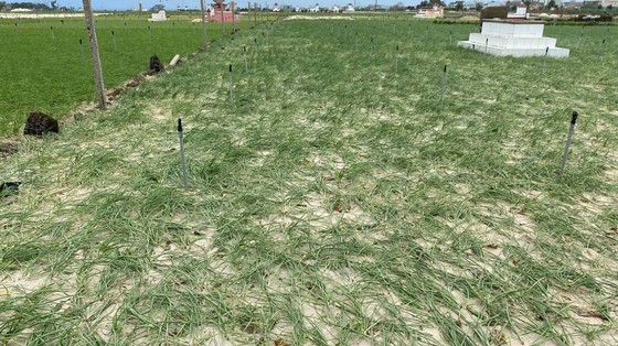 Bão suy yếu, người dân Quảng Ngãi đối diện với ngập lụt ảnh 11