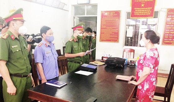 Bắt nữ đại gia bất động sản Quy Nhơn trốn thuế trên 2 tỷ đồng ảnh 1