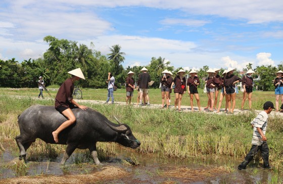 Du lịch làm nông dân ảnh 7