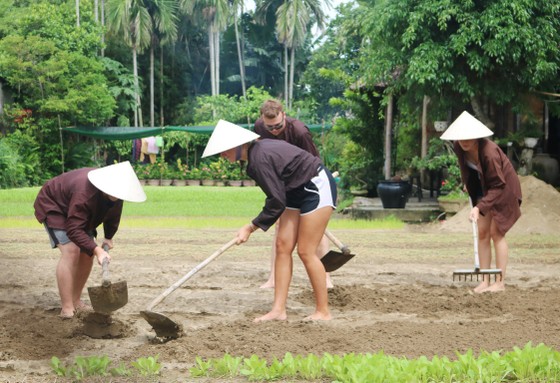Du lịch làm nông dân ảnh 3