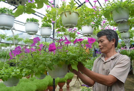 Làng nghề Quảng Nam rộn ràng đón tết ảnh 1