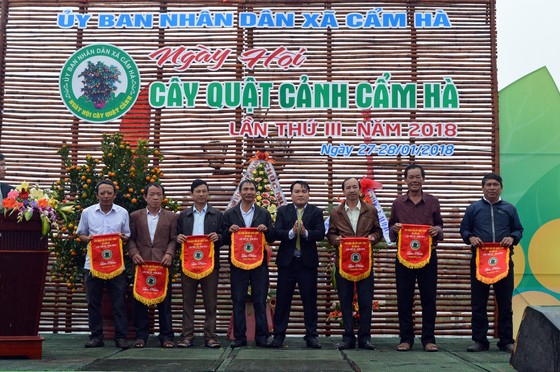 Rộn ràng Ngày hội quất cảnh Hội An ảnh 7