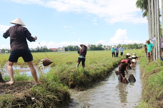 Phát triển du lịch sinh thái bền vững gắn với nông nghiệp nông thôn ảnh 3