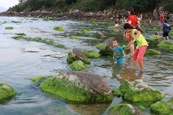 Sẽ tháo dỡ các lều quán dựng trái phép tại gềnh đá Nam Ô ảnh 1